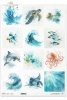  Żółw morski, złota rybka, ryby, delfin, ośmiornica, manta, płaszczka, ocean, fauna, akwarela*Sea turtle, goldfish, fish, dolphin, octopus, manta ray, stingray, ocean, fauna, watercolor
